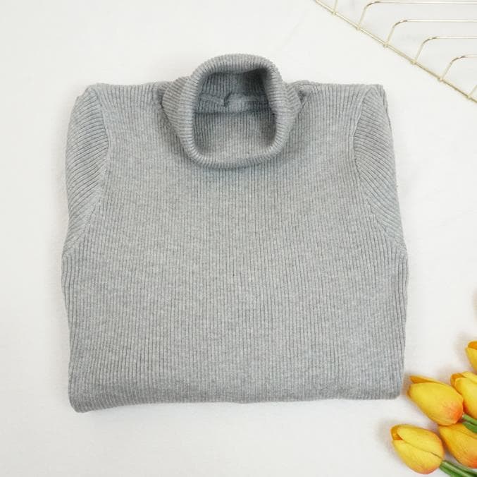 New Autumn Winter Women Knitted Dress Turtleneck Sweater Dresses Lady Slim Long Sleeve Bottoming Dress