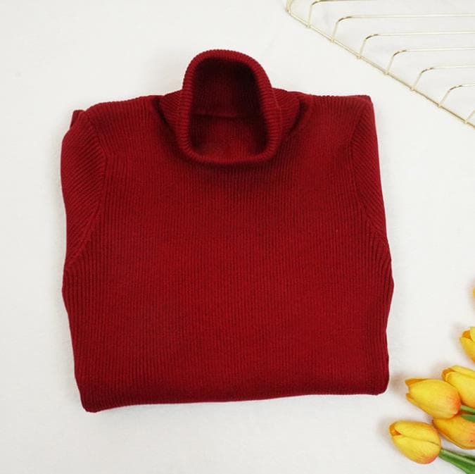 New Autumn Winter Women Knitted Dress Turtleneck Sweater Dresses Lady Slim Long Sleeve Bottoming Dress